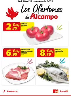 Catálogo Alcampo en Las Rozas | Los Ofertones De Alcampo | 2026-01-20T00:00:00.000Z - 2026-01-22T00:00:00.000Z