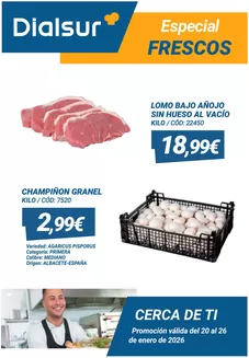 Catálogo Dialsur Cash & Carry en Esplugues de Llobregat | Especial Frescos | 2026-01-20T00:00:00.000Z - 2026-01-26T00:00:00.000Z