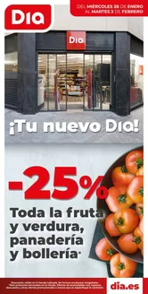 Catálogo Dia en Plasencia | Tu nuevo Dia del 28/01 al 03/02 | 2026-01-28T00:00:00.000Z - 2026-02-03T00:00:00.000Z