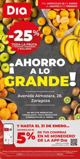 Catálogo Dia en Puebla de Alfindén | Ahorro a lo grande del 28/01 al 03/02 | 2026-01-28T00:00:00.000Z - 2026-02-03T00:00:00.000Z
