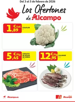 Catálogo Alcampo en Utrillas | Del 3 al 5 de febrero de 2026 | 2026-02-03T00:00:00.000Z - 2026-02-05T00:00:00.000Z