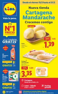 Catálogo Lidl | Nueva tienda | 2026-02-11T00:00:00.000Z - 2026-02-21T00:00:00.000Z