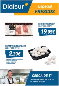Catálogo Dialsur Cash & Carry | Especial Frescos | 2026-02-10T00:00:00.000Z - 2026-02-16T00:00:00.000Z