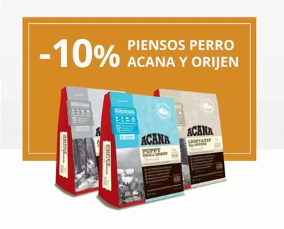 Catálogo Verdecora en Benicarló | Promoción  | 2026-02-20T00:00:00.000Z - 2026-03-05T00:00:00.000Z