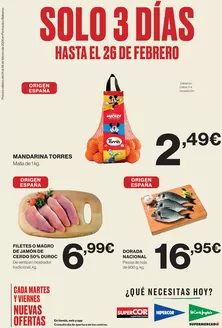 Catálogo El Corte Inglés | Solo 3 días | 2026-02-24T00:00:00.000Z - 2026-02-26T00:00:00.000Z