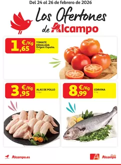 Catálogo Alcampo | Los Ofertones de Alcampo | 2026-02-24T00:00:00.000Z - 2026-02-26T00:00:00.000Z