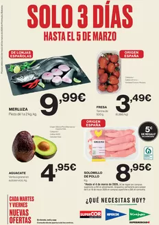 Catálogo El Corte Inglés | Solo 3 días | 2026-03-03T00:00:00.000Z - 2026-03-05T00:00:00.000Z