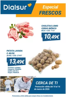 Catálogo Dialsur Cash & Carry en Majadahonda | Promoción válida del 10 al 16 de marzo de 2026 | 2026-03-11T00:00:00.000Z - 2026-03-16T00:00:00.000Z