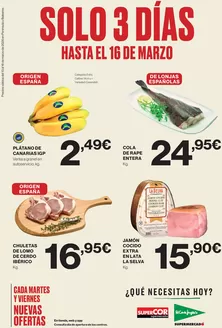 Catálogo El Corte Inglés en Puente de Domingo Flórez | Solo 3 Días | 2026-03-13T00:00:00.000Z - 2026-03-16T00:00:00.000Z