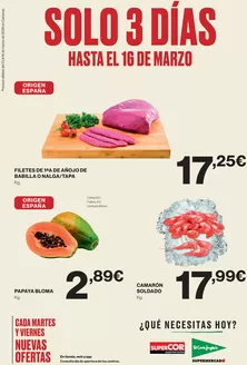 Catálogo Supercor en Puente de Domingo Flórez | Solo 3 días | 2026-03-13T00:00:00.000Z - 2026-03-16T00:00:00.000Z