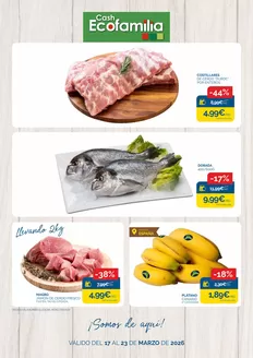 Catálogo Cash Ecofamilia en Villarrobledo | Somos de aquí | 2026-03-17T00:00:00.000Z - 2026-03-23T00:00:00.000Z