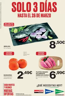 Catálogo El Corte Inglés en Móstoles | Solo 3 días | 2026-03-25T00:00:00.000Z - 2026-03-26T00:00:00.000Z