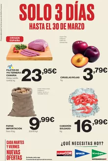 Catálogo El Corte Inglés en Torrejón | Solo 3 Días | 2026-03-27T00:00:00.000Z - 2026-03-30T00:00:00.000Z