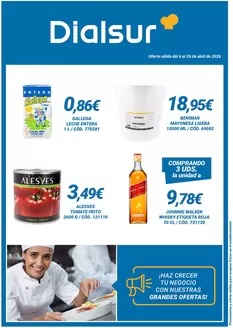 Catálogo Dialsur Cash & Carry | Oferta válida del 6 al 26 de abril de 2026 | 2026-04-06T00:00:00.000Z - 2026-04-26T00:00:00.000Z