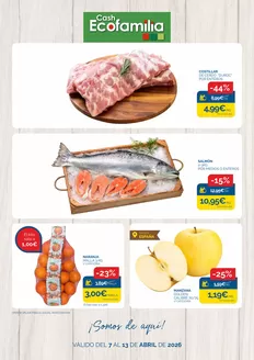 Catálogo Cash Ecofamilia | Válido Del 7 Al 13 De Abril De 2026 | 2026-04-07T00:00:00.000Z - 2026-04-13T00:00:00.000Z