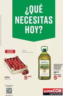 Catálogo Supercor | Qué necesitas hoy | 2026-04-23T00:00:00.000Z - 2026-05-05T00:00:00.000Z