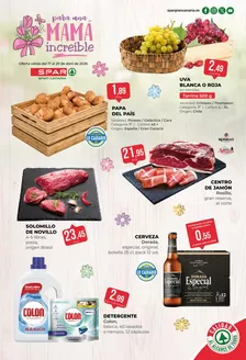 Catálogo SPAR Gran Canaria | Oferta válida del 17 al 29 de abril de 2026 | 2026-04-17T00:00:00.000Z - 2026-04-29T00:00:00.000Z