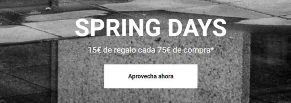 Catálogo DC Shoes en Estivella | Spring Days | 2026-05-04T00:00:00.000Z - 2026-05-17T00:00:00.000Z