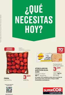 Catálogo Supercor | Qué necesitas hoy | 2026-05-06T00:00:00.000Z - 2026-05-20T00:00:00.000Z