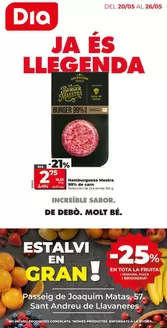 Catálogo Dia en Breda | Estalvi en Gran del 20/05 al 26/05 | 2026-05-20T00:00:00.000Z - 2026-05-26T00:00:00.000Z