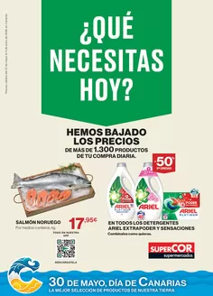 Catálogo Supercor en Porís de Abona | ¿Qué Necesitas Hoy? | 2026-05-21T00:00:00.000Z - 2026-06-03T00:00:00.000Z
