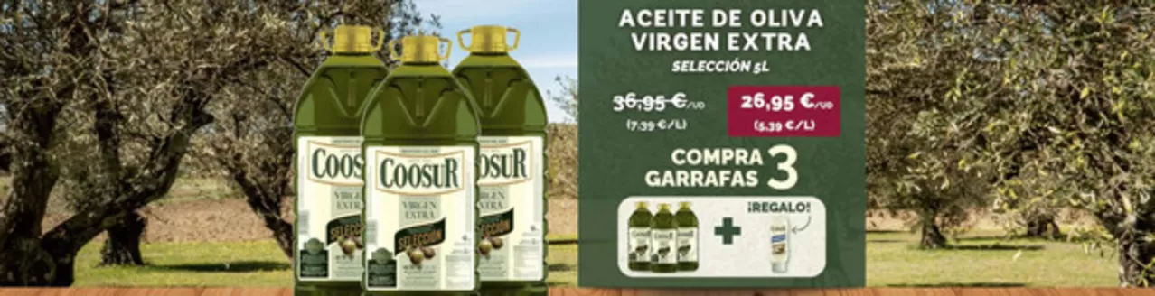 Catálogo Coosur | Oferta | 2026-05-29T00:00:00.000Z - 2026-06-11T00:00:00.000Z