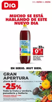 Catálogo Dia | Gran apertura Dia del 03/06 al 09/06 | 2026-06-03T00:00:00.000Z - 2026-06-09T00:00:00.000Z