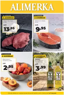 Catálogo Alimerka | Semanal del 1 al 7 de junio Castilla y León | 2026-06-01T00:00:00.000Z - 2026-06-07T00:00:00.000Z