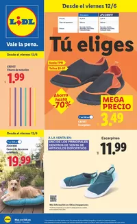 Catálogo Lidl en Peroxa | ¡Bazar Lidl!- Ofertas válidas del 08/06 al 14/06 | 2026-06-08T00:00:00.000Z - 2026-06-14T00:00:00.000Z