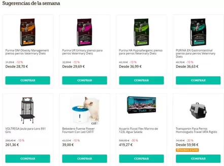 Catálogo Don Mascota | Sugerencias de la semana | 2026-06-05T00:00:00.000Z - 2026-06-11T00:00:00.000Z