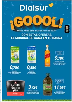 Catálogo Dialsur Cash & Carry | Con Estas Ofertas, El Mundial Se Gana En Tu Barra | 2026-06-08T00:00:00.000Z - 2026-06-28T00:00:00.000Z