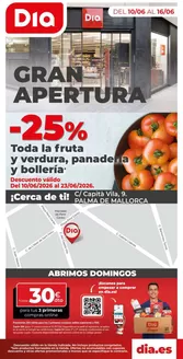 Catálogo Dia en Cabrils | Gran apertura Dia del del 10/06 al 16/06 | 2026-06-10T00:00:00.000Z - 2026-06-16T00:00:00.000Z