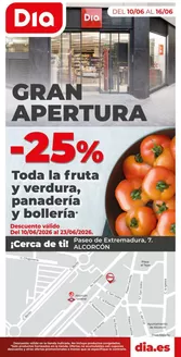 Catálogo Dia en | Gran apertura Dia del del 10/06 al 16/06 | 2026-06-10T00:00:00.000Z - 2026-06-16T00:00:00.000Z