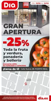 Catálogo Dia en San Fernando | Gran apertura Dia del del 10/06 al 16/06 | 2026-06-10T00:00:00.000Z - 2026-06-16T00:00:00.000Z