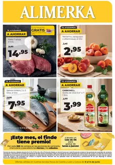 Catálogo Alimerka | Semanal del 8 al 14 de junio Castilla y León | 2026-06-08T00:00:00.000Z - 2026-06-14T00:00:00.000Z