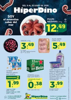 Catálogo HiperDino en Riudellots de la Selva | Ofertas desde el 9 de junio | 2026-06-09T00:00:00.000Z - 2026-06-19T00:00:00.000Z