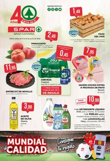 Catálogo SPAR Gran Canaria | Oferta válida del 12 al 25 de junio de 2026 | 2026-06-12T00:00:00.000Z - 2026-06-25T00:00:00.000Z
