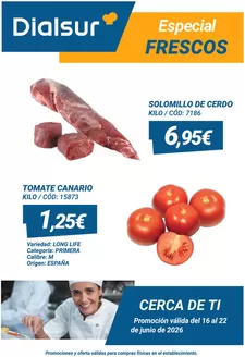Catálogo Dialsur Cash & Carry | Promoción válida del 16 al 22 de junio de 2026 | 2026-06-16T00:00:00.000Z - 2026-06-22T00:00:00.000Z