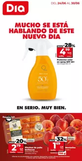Catálogo Dia | Nueva Calidad Dia del 24/06 al 30/06 | 2026-06-24T00:00:00.000Z - 2026-06-30T00:00:00.000Z
