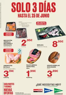 Catálogo Supercor | Solo 3 días | 2026-06-23T00:00:00.000Z - 2026-06-25T00:00:00.000Z