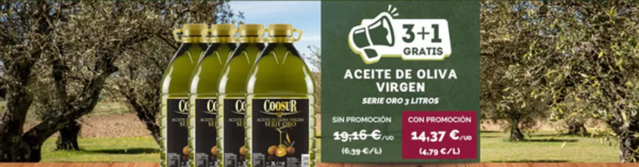 Catálogo Coosur | Promoción | 2026-07-13T00:00:00.000Z - 2026-07-26T00:00:00.000Z