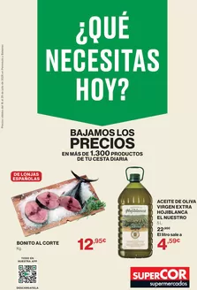 Catálogo Supercor | ¿Qué Necesitas Hoy? | 2026-07-16T00:00:00.000Z - 2026-07-29T00:00:00.000Z