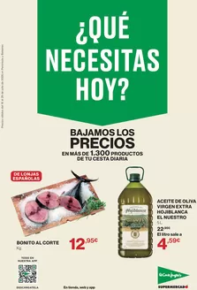Catálogo El Corte Inglés | ¿Qué Necesitas Hoy? | 2026-07-16T00:00:00.000Z - 2026-07-29T00:00:00.000Z