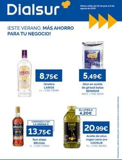 Catálogo Dialsur Cash & Carry | Oferta válida del 20 de julio al 9 de agosto de 2026 | 2026-07-20T00:00:00.000Z - 2026-08-09T00:00:00.000Z