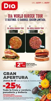 Catálogo Dia en Gran Tarajal | Gran apertura Dia del 22/07 al 28/07 | 2026-07-22T00:00:00.000Z - 2026-07-28T00:00:00.000Z