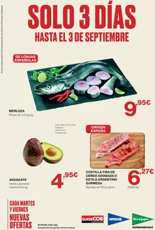 Catálogo Hipercor | Solo 3 Días | 2026-09-01T00:00:00.000Z - 2026-09-03T00:00:00.000Z
