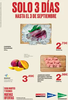 Catálogo El Corte Inglés en Taco | Hasta El 3 De Septiembre | 2026-09-01T00:00:00.000Z - 2026-09-03T00:00:00.000Z