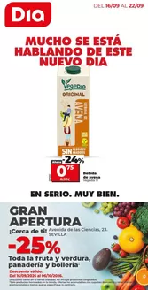 Catálogo Dia en Salteras | Gran apertura Dia del 16/09 al 22/09 | 2026-09-16T00:00:00.000Z - 2026-09-22T00:00:00.000Z