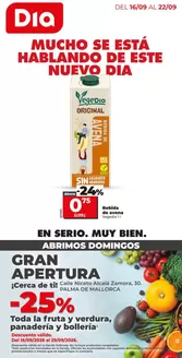 Catálogo Dia en Castellitx | Gran apertura Dia del 16/09 al 22/09 | 2026-09-16T00:00:00.000Z - 2026-09-22T00:00:00.000Z