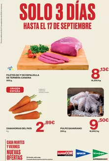 Catálogo Supercor | Solo 3 días | 2026-09-15T00:00:00.000Z - 2026-09-17T00:00:00.000Z